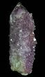 Cactus Quartz (Amethyst) Crystal - South Africa #64231-1